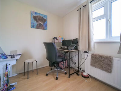 Picture 14